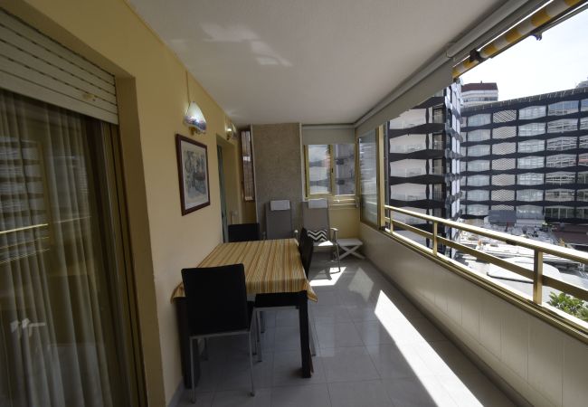 Apartamento en Benidorm - MARISCAL 1 (1 DORMITORIO) Apartamento en Benidorm - MARISCAL 1 (1 DORMITORIO)