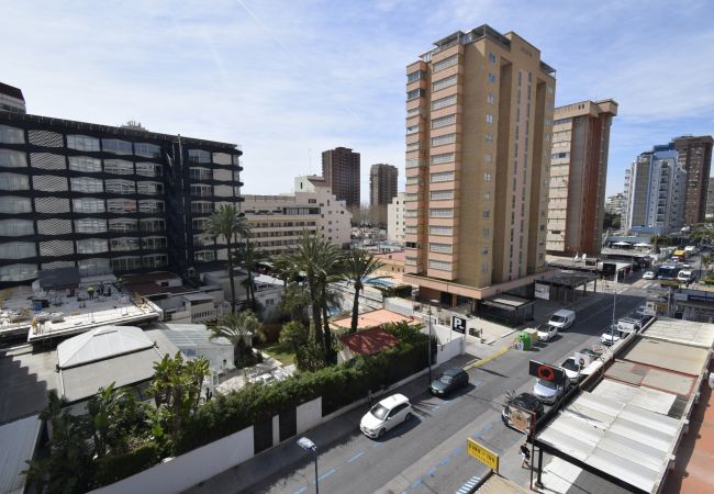Apartamento en Benidorm - MARISCAL 1 (1 DORMITORIO) Apartamento en Benidorm - MARISCAL 1 (1 DORMITORIO)