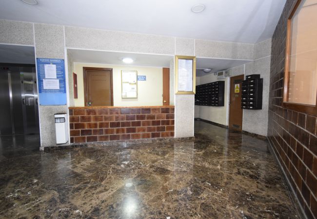 Apartamento en Benidorm - MARISCAL 1 (1 DORMITORIO)