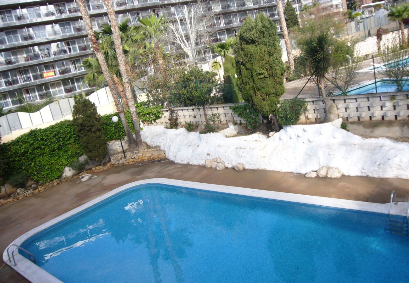 Apartamento en Benidorm - MARISCAL 1 (1 DORMITORIO)