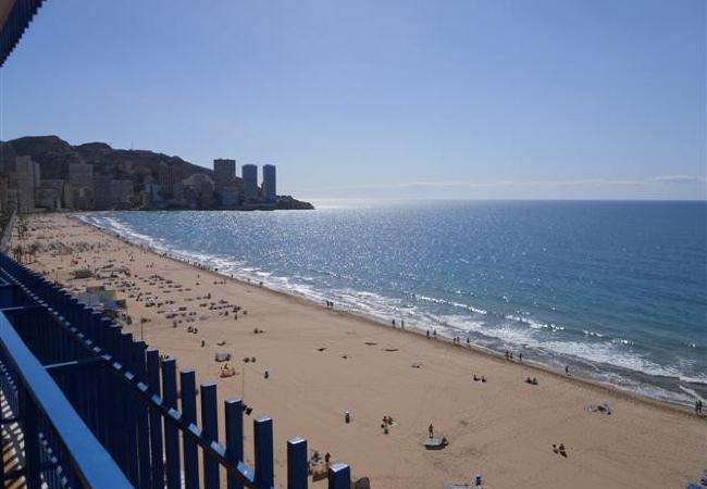 Apartamento en Benidorm - LAS PALMERAS (2 DORMITORIOS) - 6 PAX