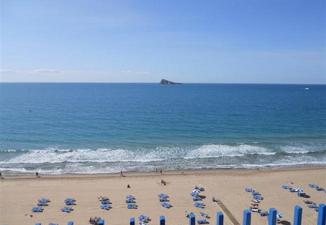 Apartamento en Benidorm - LAS PALMERAS (2 DORMITORIOS) - 6 PAX