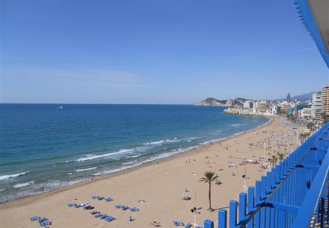 Apartamento en Benidorm - LAS PALMERAS (2 DORMITORIOS) - 6 PAX