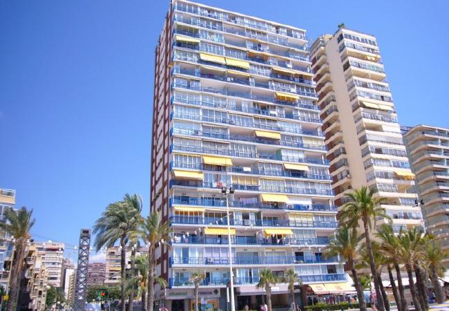 Apartamento en Benidorm - LAS PALMERAS (2 DORMITORIOS) - 6 PAX