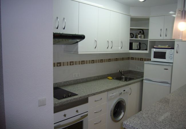 Estudio en Benidorm - LAS PALMERAS (ESTUDIO) BENIDORM