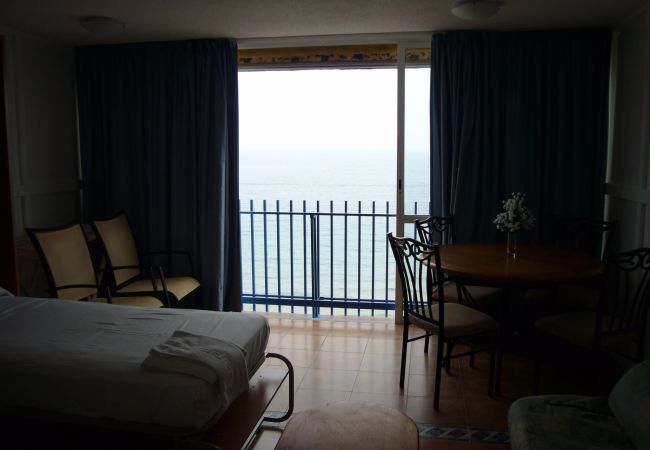 Estudio en Benidorm - LAS PALMERAS (ESTUDIO) BENIDORM Estudio en Benidorm - LAS PALMERAS (ESTUDIO) BENIDORM