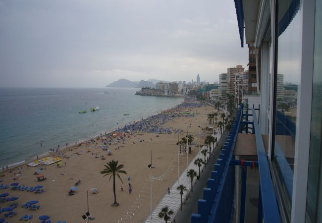 Estudio en Benidorm - LAS PALMERAS (ESTUDIO) BENIDORM