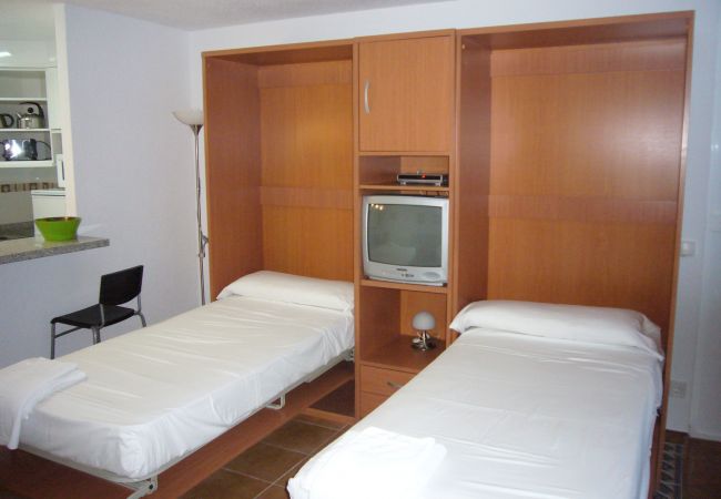 Estudio en Benidorm - LAS PALMERAS (ESTUDIO) BENIDORM Estudio en Benidorm - LAS PALMERAS (ESTUDIO) BENIDORM