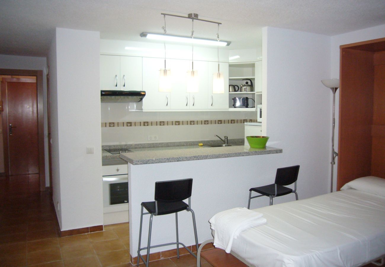 Estudio en Benidorm - LAS PALMERAS (ESTUDIO) BENIDORM