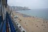 Estudio en Benidorm - LAS PALMERAS (ESTUDIO) BENIDORM Estudio en Benidorm - LAS PALMERAS (ESTUDIO) BENIDORM