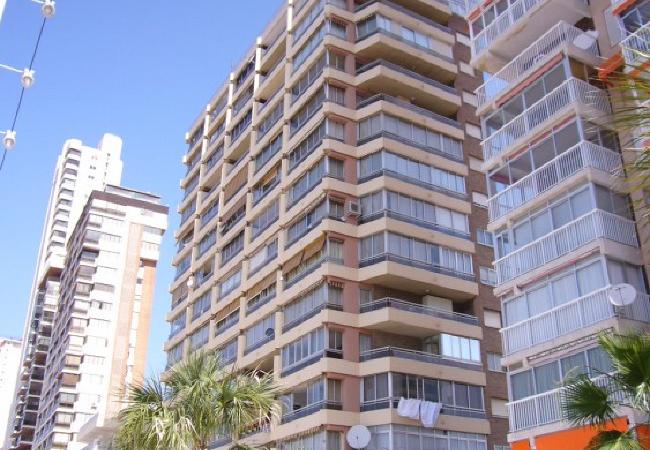 Apartamento en Benidorm - CAROLINA (1 DORMITORIO)