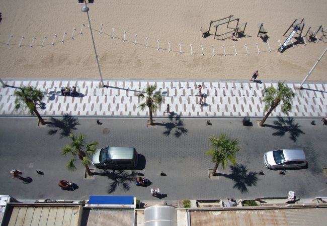 Apartamento en Benidorm - CAROLINA (1 DORMITORIO) Apartamento en Benidorm - CAROLINA (1 DORMITORIO)
