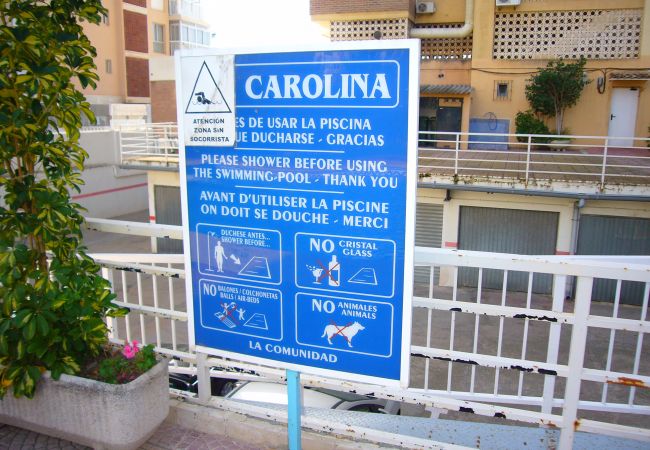 Apartamento en Benidorm - CAROLINA (1 DORMITORIO) Apartamento en Benidorm - CAROLINA (1 DORMITORIO)