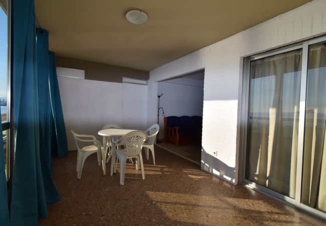 Apartamento en Benidorm - CAROLINA (1 DORMITORIO)