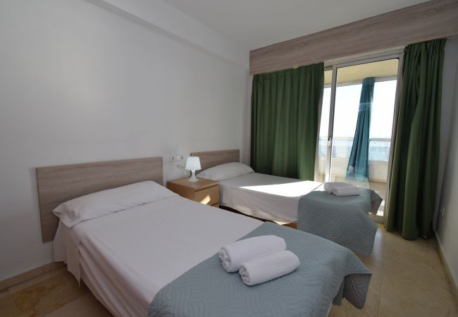 Apartamento en Benidorm - CAROLINA (1 DORMITORIO) Apartamento en Benidorm - CAROLINA (1 DORMITORIO)