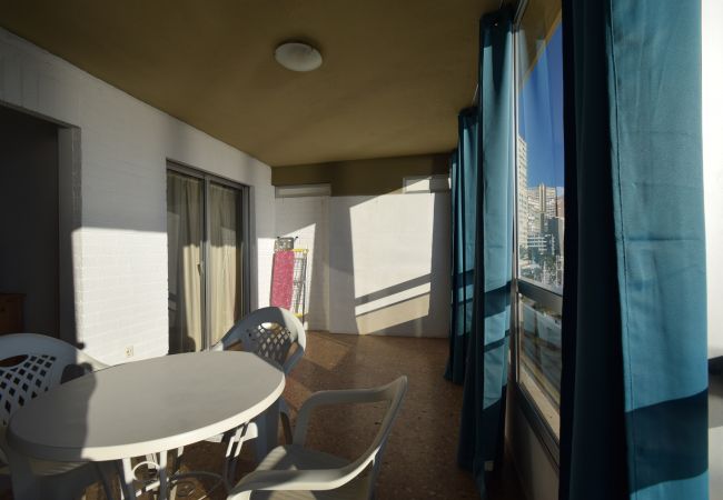 Apartamento en Benidorm - CAROLINA (1 DORMITORIO) Apartamento en Benidorm - CAROLINA (1 DORMITORIO)