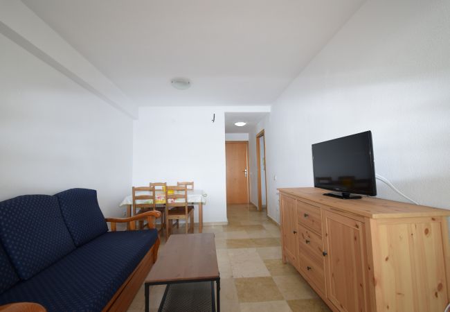 Apartamento en Benidorm - CAROLINA (1 DORMITORIO) Apartamento en Benidorm - CAROLINA (1 DORMITORIO)