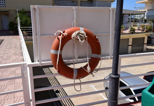 Apartamento en Benidorm - CAROLINA (1 DORMITORIO) Apartamento en Benidorm - CAROLINA (1 DORMITORIO)