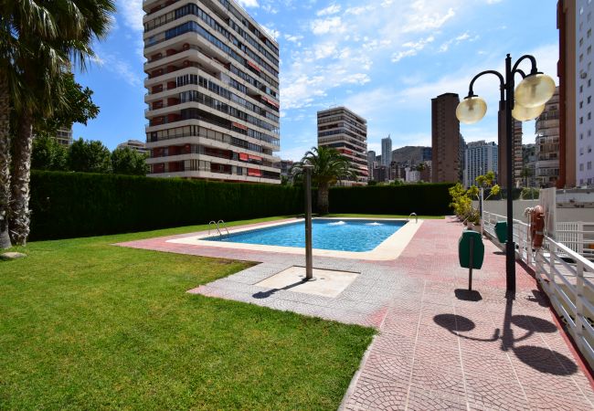 Apartamento en Benidorm - CAROLINA (1 DORMITORIO)