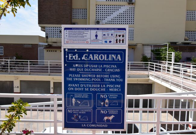 Apartamento en Benidorm - CAROLINA (1 DORMITORIO) Apartamento en Benidorm - CAROLINA (1 DORMITORIO)