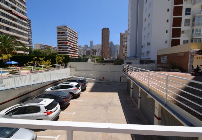Apartamento en Benidorm - CAROLINA (1 DORMITORIO) Apartamento en Benidorm - CAROLINA (1 DORMITORIO)