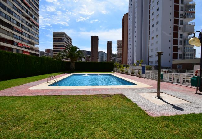 Apartamento en Benidorm - CAROLINA (1 DORMITORIO)