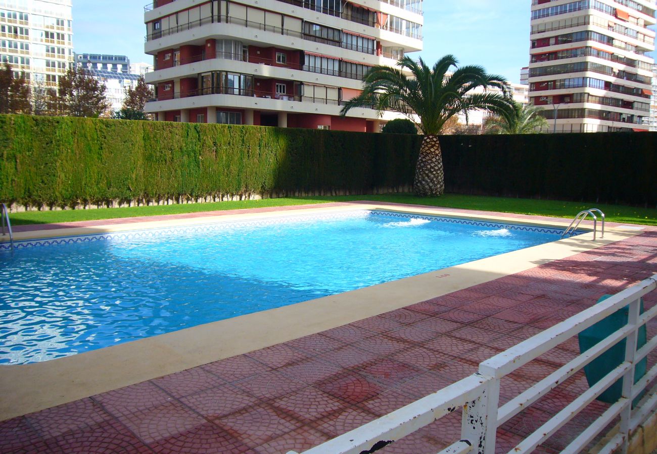 Apartamento en Benidorm - CAROLINA (1 DORMITORIO)