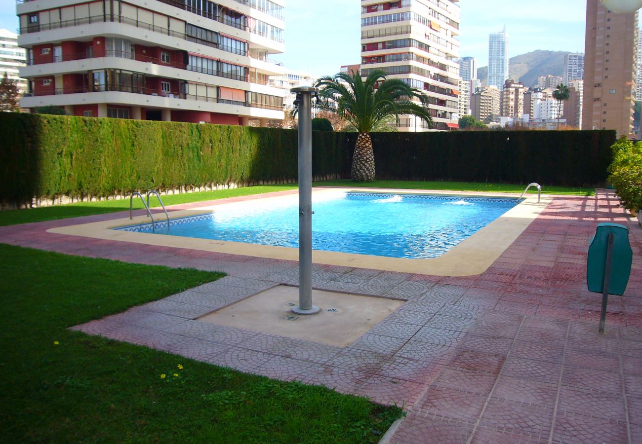 Apartamento en Benidorm - CAROLINA (1 DORMITORIO)