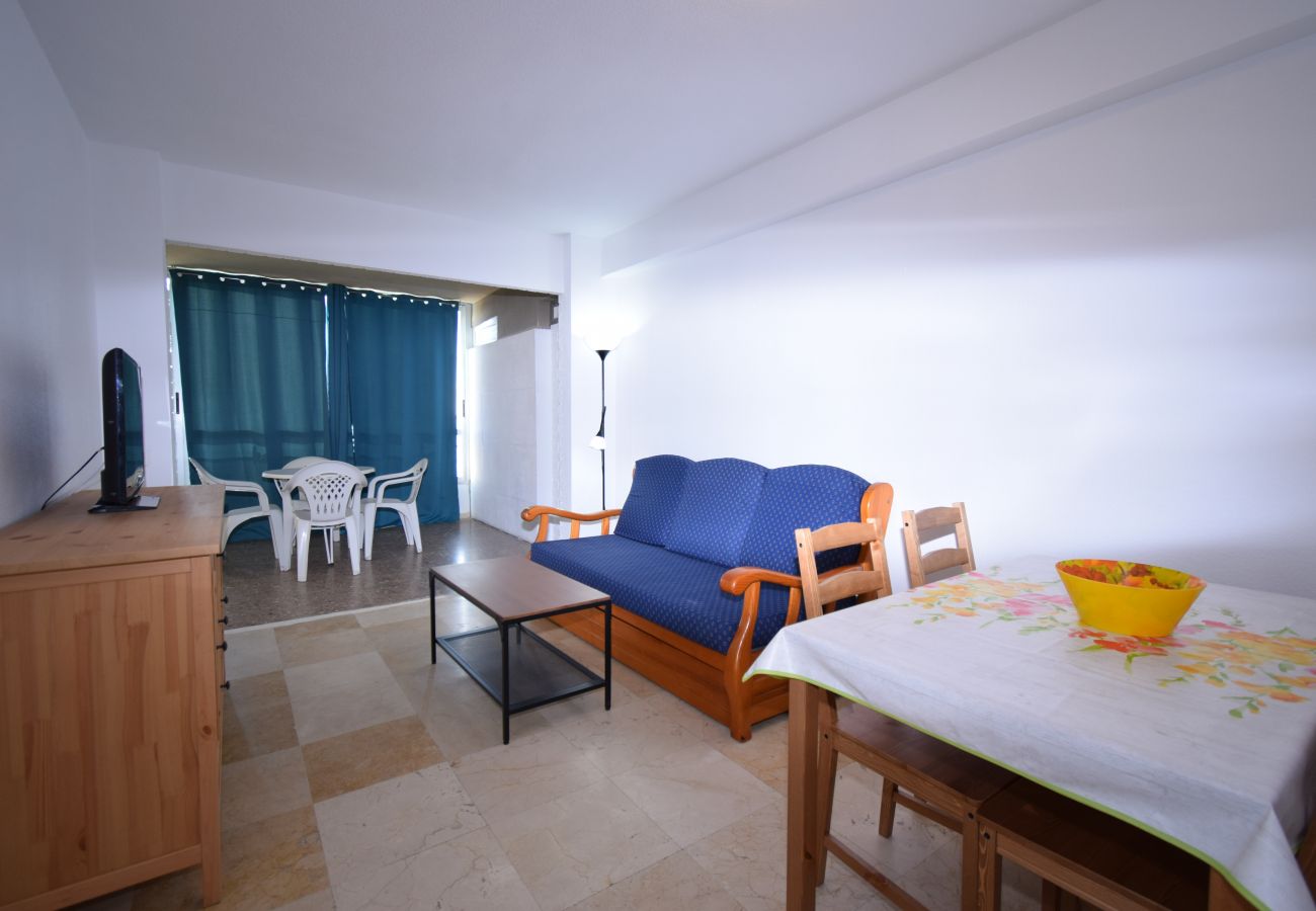 Apartamento en Benidorm - CAROLINA (1 DORMITORIO)