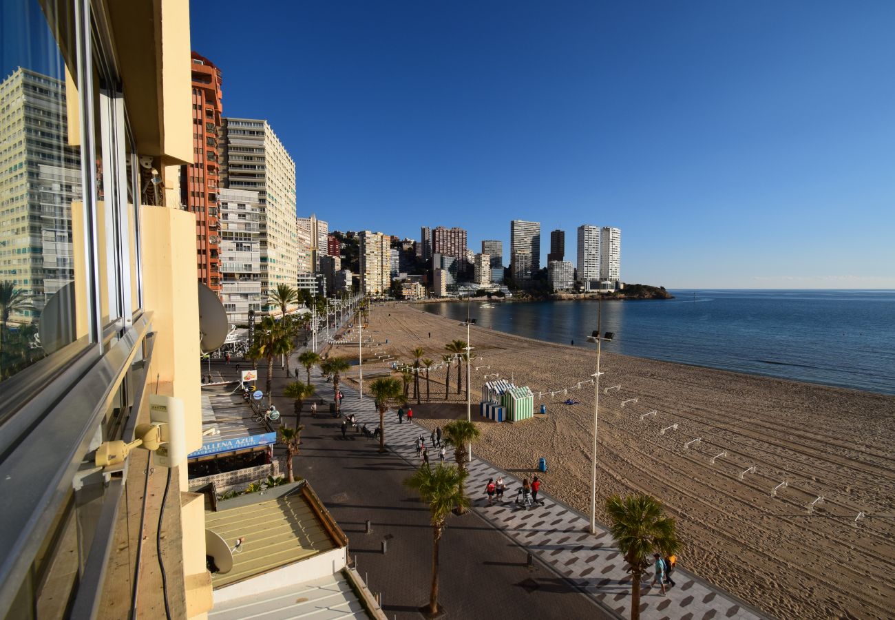 Apartamento en Benidorm - CAROLINA (1 DORMITORIO)