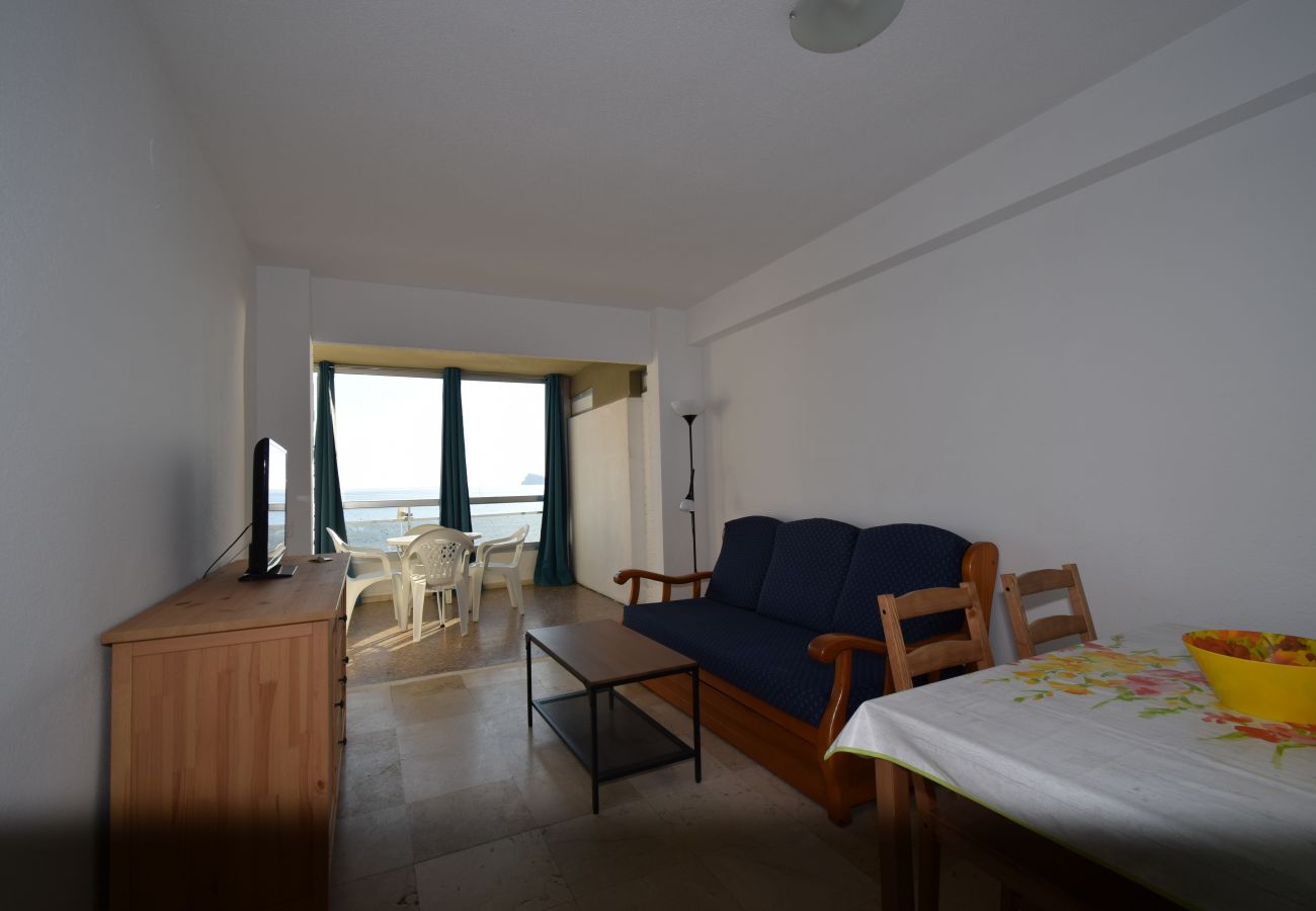 Apartamento en Benidorm - CAROLINA (1 DORMITORIO)