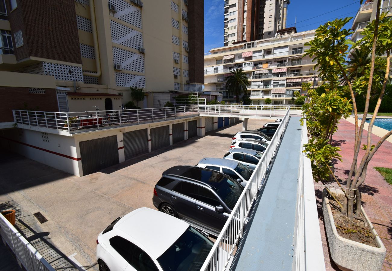 Apartamento en Benidorm - CAROLINA (1 DORMITORIO)