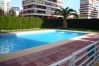 Apartamento en Benidorm - CAROLINA (1 DORMITORIO) Apartamento en Benidorm - CAROLINA (1 DORMITORIO)