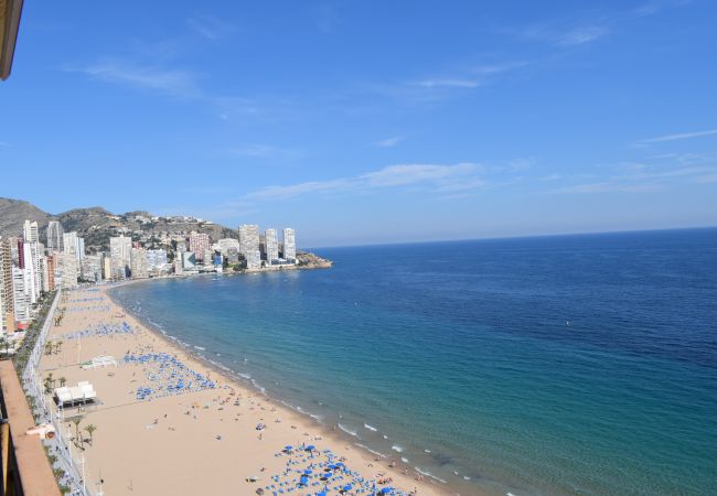 Apartamento en Benidorm - PRINCIPADO ARENA (3 DORMITORIOS) Apartamento en Benidorm - PRINCIPADO ARENA (3 DORMITORIOS)
