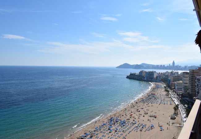 Apartamento en Benidorm - PRINCIPADO ARENA (3 DORMITORIOS) Apartamento en Benidorm - PRINCIPADO ARENA (3 DORMITORIOS)