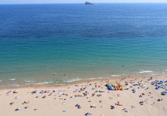 Apartamento en Benidorm - PRINCIPADO ARENA (3 DORMITORIOS) Apartamento en Benidorm - PRINCIPADO ARENA (3 DORMITORIOS)