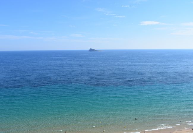 Apartamento en Benidorm - PRINCIPADO ARENA (3 DORMITORIOS) Apartamento en Benidorm - PRINCIPADO ARENA (3 DORMITORIOS)