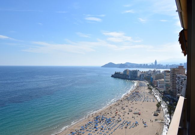 Apartamento en Benidorm - PRINCIPADO ARENA (3 DORMITORIOS) Apartamento en Benidorm - PRINCIPADO ARENA (3 DORMITORIOS)