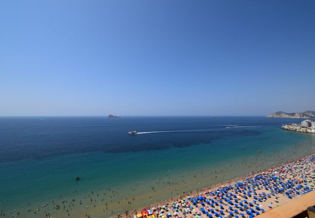Apartamento en Benidorm - PRINCIPADO ARENA (3 DORMITORIOS) Apartamento en Benidorm - PRINCIPADO ARENA (3 DORMITORIOS)