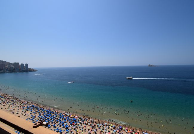 Apartamento en Benidorm - PRINCIPADO ARENA (3 DORMITORIOS) Apartamento en Benidorm - PRINCIPADO ARENA (3 DORMITORIOS)