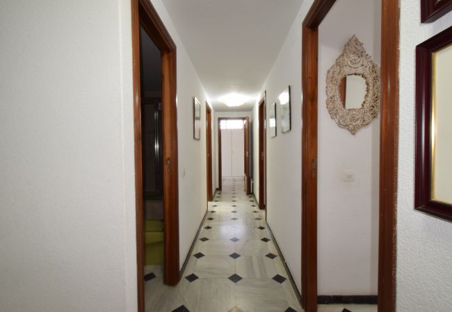 Apartamento en Benidorm - PRINCIPADO ARENA (3 DORMITORIOS) Apartamento en Benidorm - PRINCIPADO ARENA (3 DORMITORIOS)