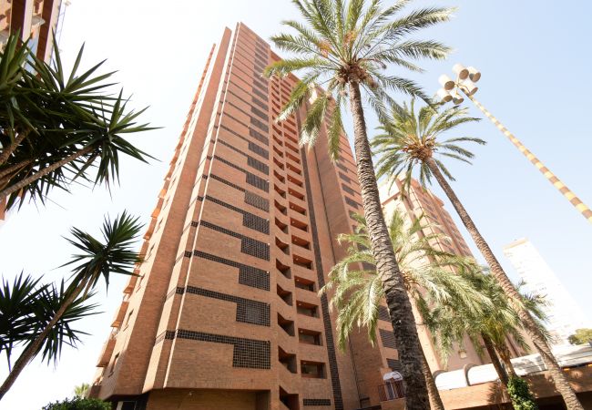 Apartamento en Benidorm - PRINCIPADO ARENA (3 DORMITORIOS)