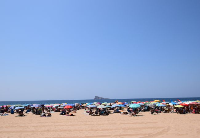 Apartamento en Benidorm - PRINCIPADO ARENA (3 DORMITORIOS) Apartamento en Benidorm - PRINCIPADO ARENA (3 DORMITORIOS)