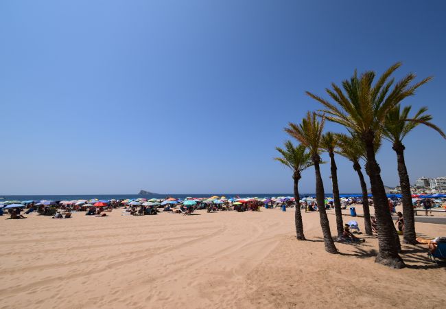 Apartamento en Benidorm - PRINCIPADO ARENA (3 DORMITORIOS) Apartamento en Benidorm - PRINCIPADO ARENA (3 DORMITORIOS)