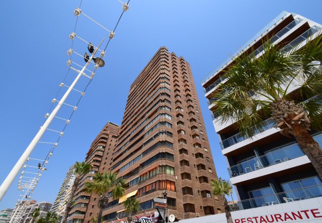 Apartamento en Benidorm - PRINCIPADO ARENA (3 DORMITORIOS) Apartamento en Benidorm - PRINCIPADO ARENA (3 DORMITORIOS)