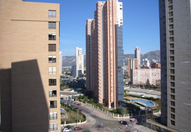 Apartamento en Benidorm - FINLANDIA (1 DORMITORIO) Apartamento en Benidorm - FINLANDIA (1 DORMITORIO)