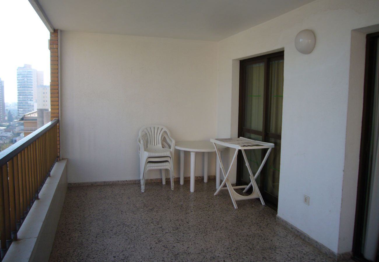 Apartamento en Benidorm - FINLANDIA (1 DORMITORIO)