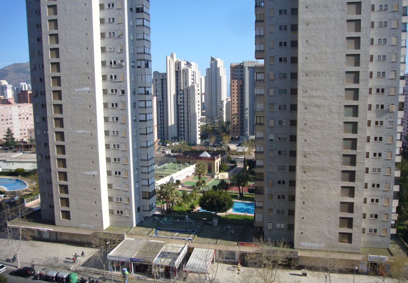 Apartamento en Benidorm - FINLANDIA (1 DORMITORIO)