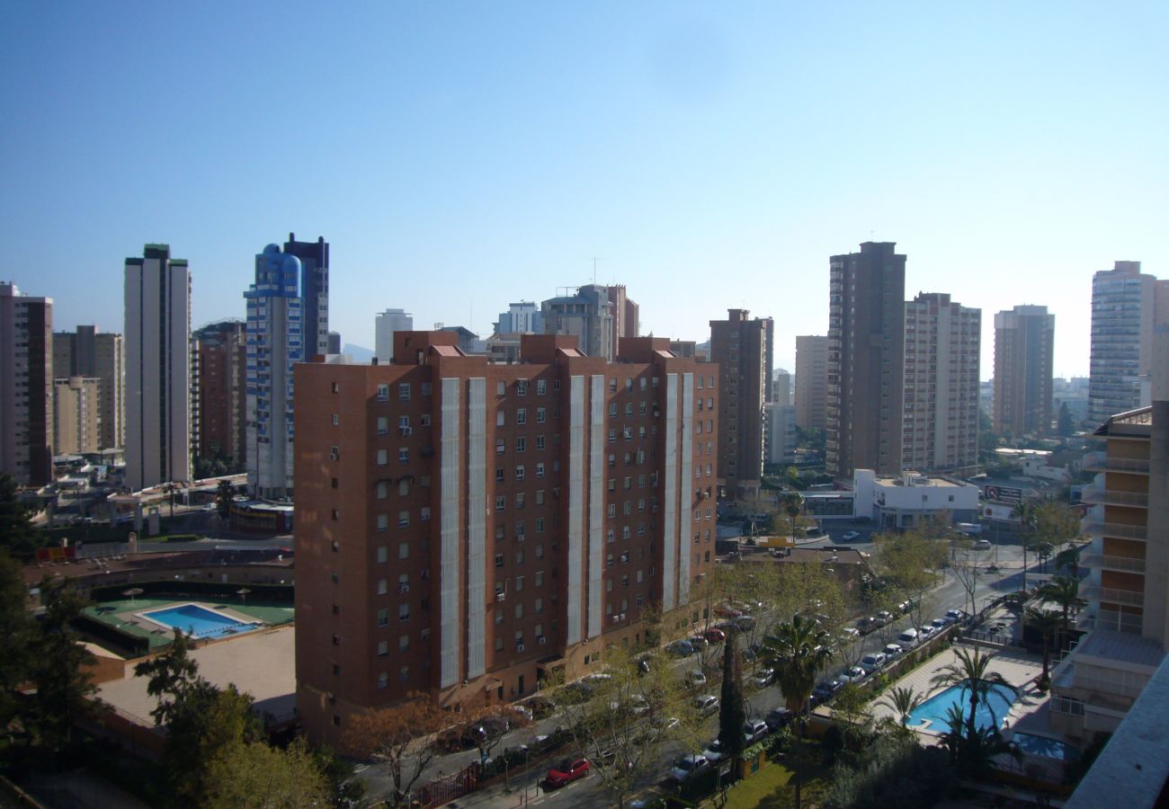 Apartamento en Benidorm - FINLANDIA (1 DORMITORIO)