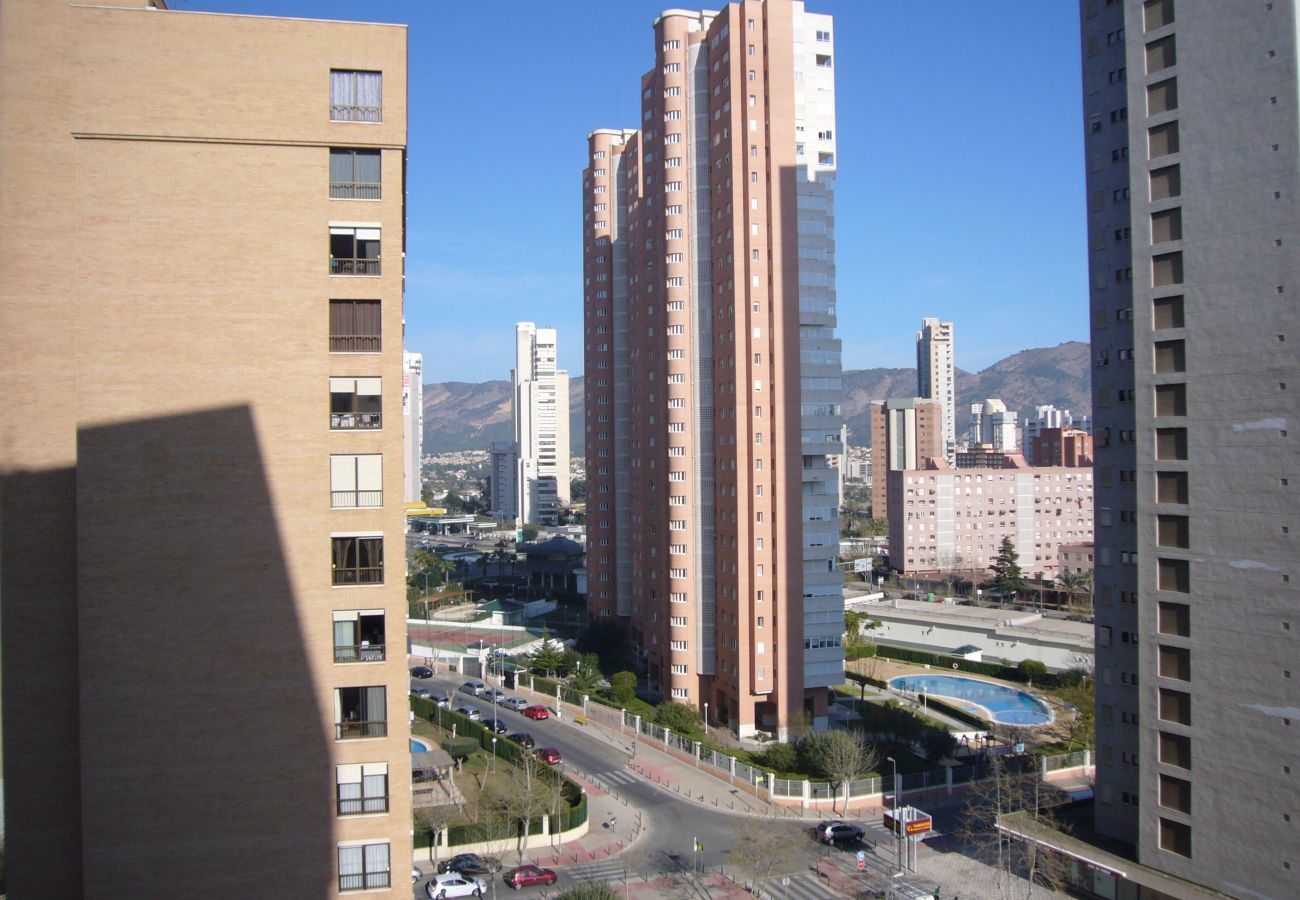 Apartamento en Benidorm - FINLANDIA (1 DORMITORIO)